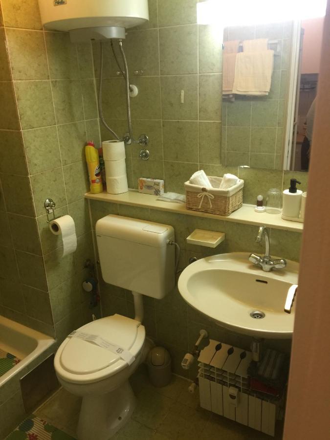 Apatrman Pijalovic Apartment Bjelovar
