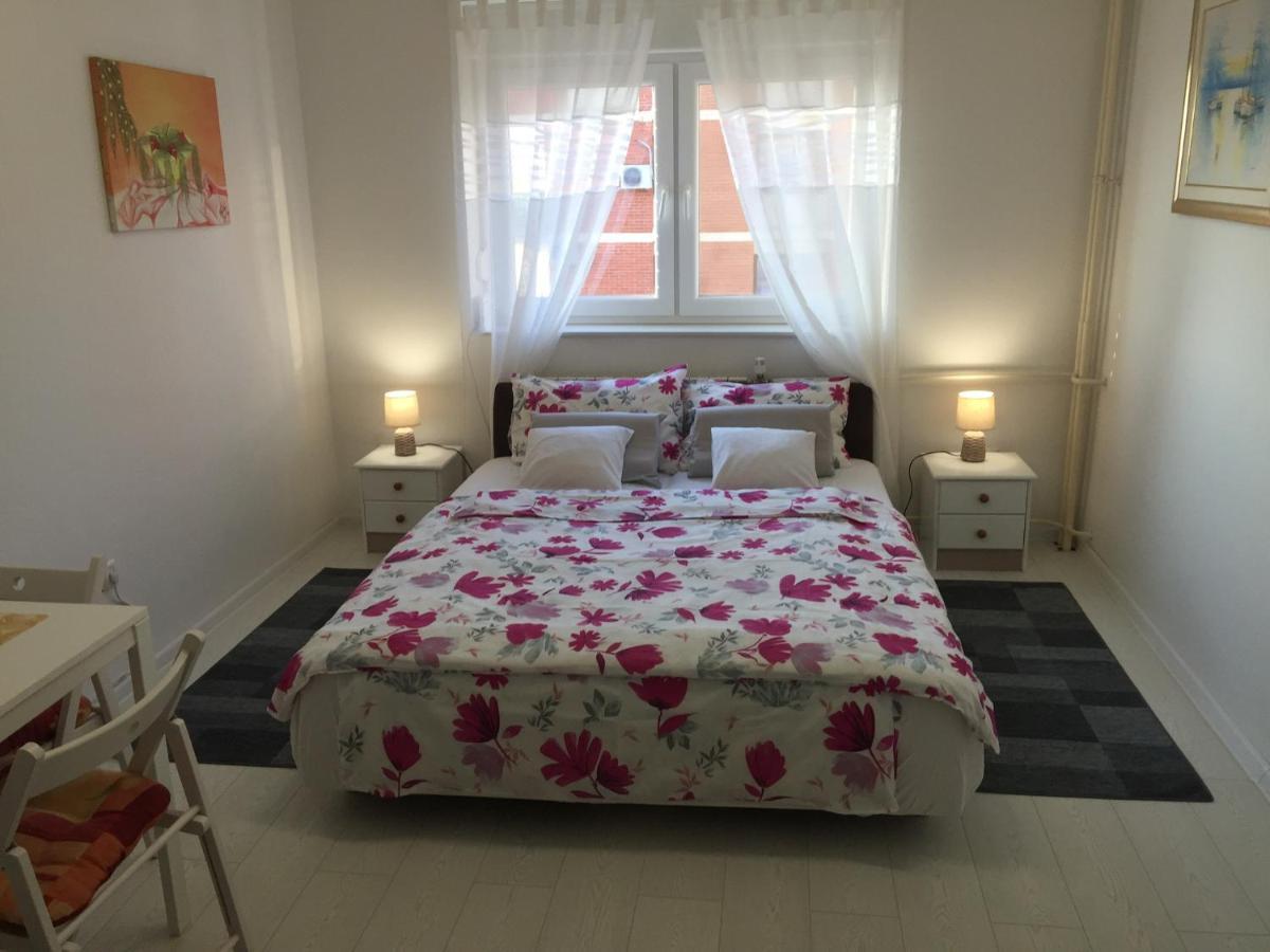 Apatrman Pijalovic Apartment Bjelovar